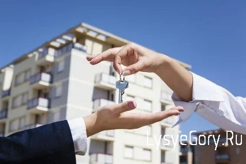 
Какие выписки нужны для безопасной покупки квартиры?
