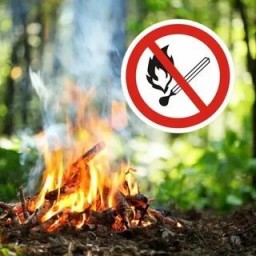 
В Саратовской области начинается пожароопасный сезон
