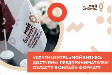 Услуги Центра предпринимателя «Мой бизнес» доступны всем предпринимателям Саратовской области в онла