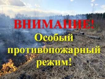 
​Внимание!!! На территории Саратовской области с 21 апреля введен особый противопожарный режим
