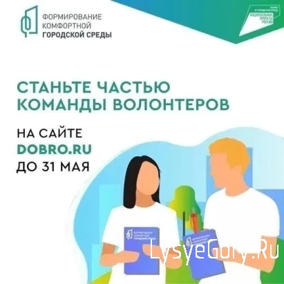 
​Приглашаем волонтеров поучаствовать в организации Всероссийского голосования за объекты благоустр