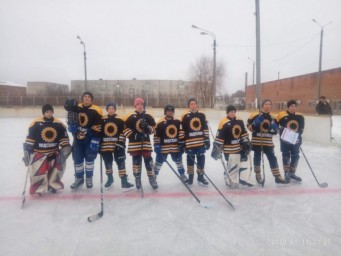 Команда Лысогорского района приняла участие в зональных соревнованиях турнира по хоккею с шайбой в р