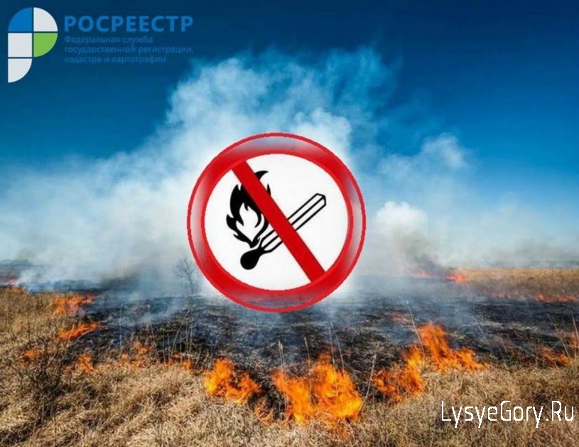 
​Саратовский Росреестр участвует в профилактике пожаров
