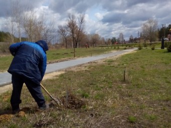 ​Лысогорский муниципальный район присоединился к акции «Сад Памяти»