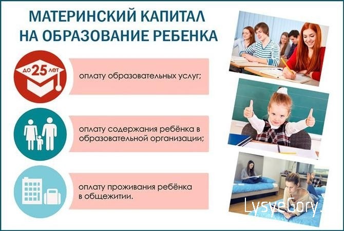 
Более 500 миллионов рублей на обучение детей региона
