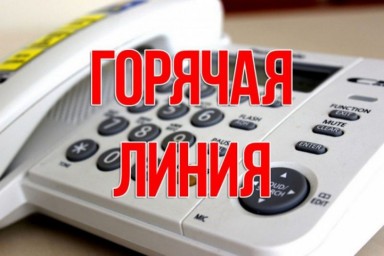 
С начала года на «горячую линию» Отделения СФР по Саратовской области поступило более 13 тысяч зво