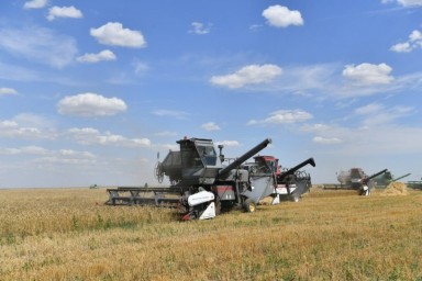 
В Саратовской области собрано 2 млн.тонн зерна
