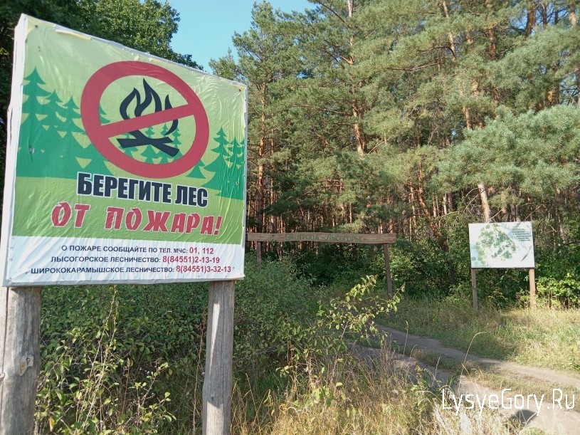
На территории Саратовской области введен режим ограничения пребывания граждан в лесах
