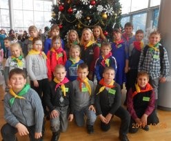 Дети из Лысогорского района посетили Губернаторскую елку