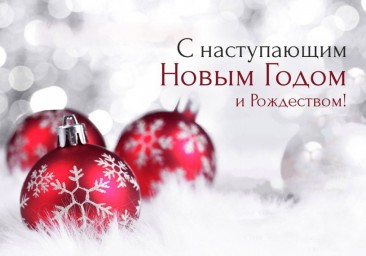 Поздравление с Новым 2019 годом главы Лысогорского муниципального образования