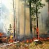 В Саратовской области прогнозируется чрезвычайный уровень пожарной опасности