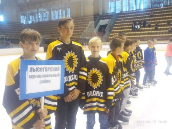 Команда Лысогорского района заняла второе место в соревнованиях юных хоккеистов "Кубок Надежды"