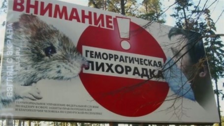 ОП призвала запретить посещение Кумысной поляны из-за мышиной лихорадки