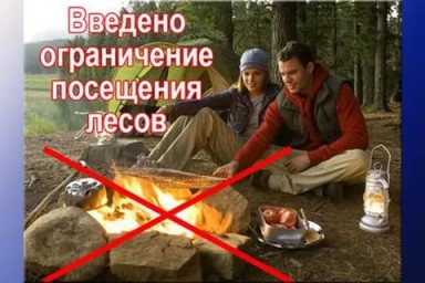 В Саратовской области введено ограничение пребывания граждан в лесах