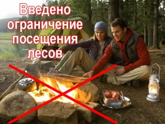 В Саратовской области введен режим ограничения пребывания граждан в лесах