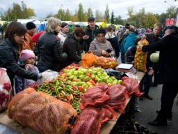 33 района Саратовской области представили свою продукцию на сельскохозяйственных ярмарках