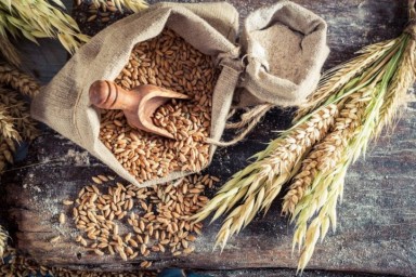 
ВСаратовской области на 84% выросла урожайность зерна
