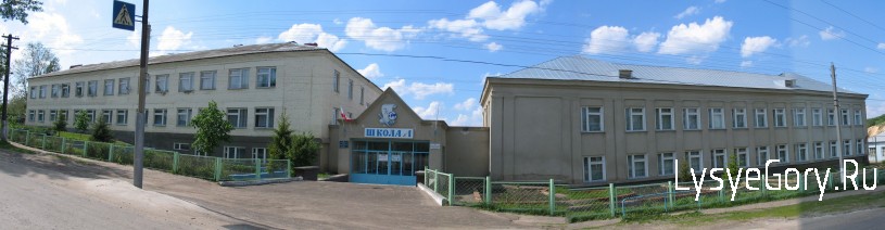 Лысогорская средняя школа №1