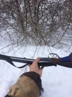 Житель Белого Озера незаконно застрелил косулю