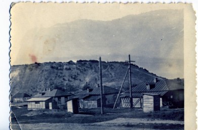 Сельские дома на фоне Лысой горы